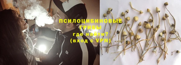 гашиш Бородино