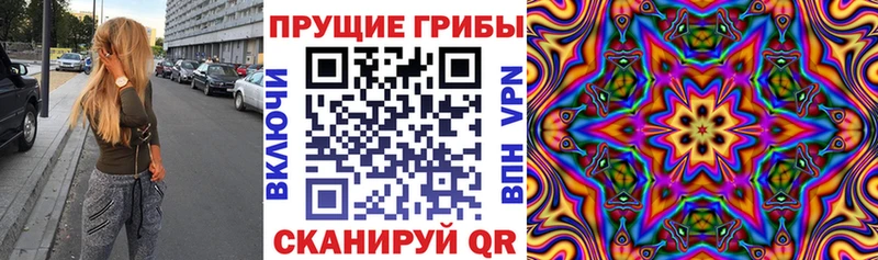 blacksprut онион  Хотьково  Галлюциногенные грибы MAGIC MUSHROOMS 